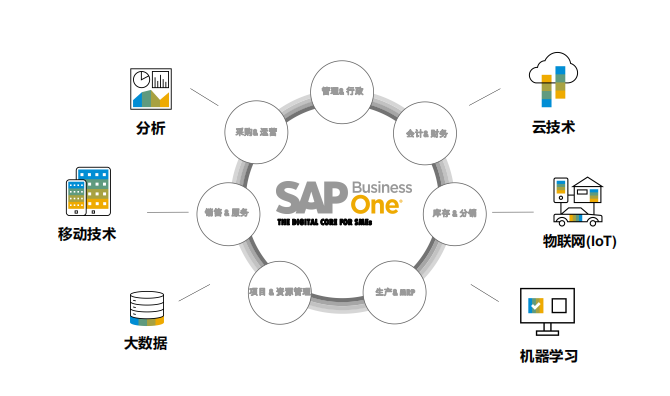 SAP,ERP,数字化