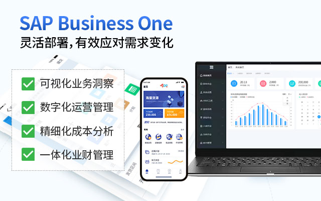 SAP Business One SAP系统 ERP系统 SAP ERP 企业管理ERP系统