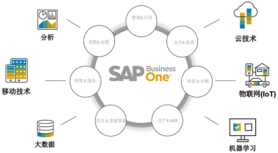 SAP,B1,SAP B1,SAP Business One,Business One,中小企业ERP,SAP中小企业ERP,中小企业数字化方案,SAP中小企业,SAP重庆达策